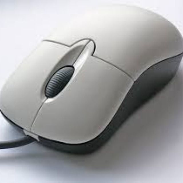 Computer Mouse